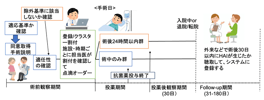 研究の流れ